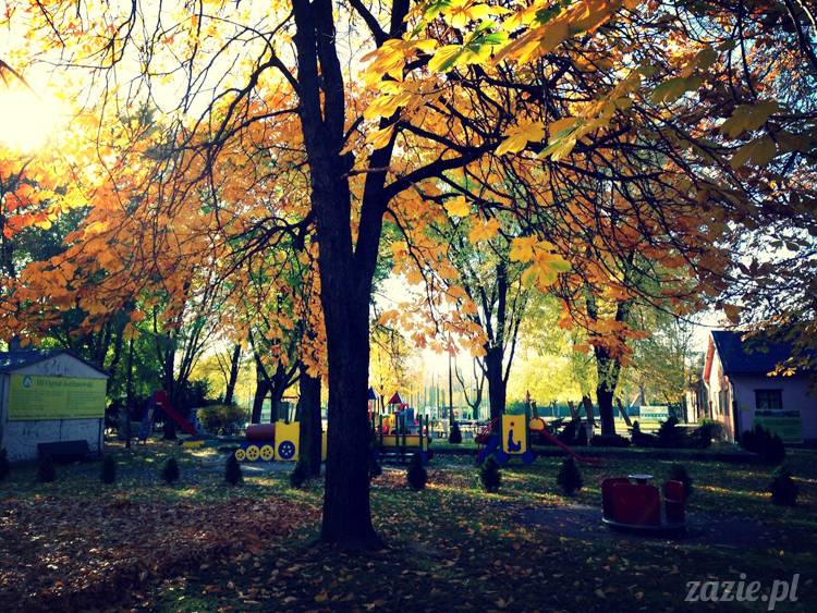 ogródek jordanowski na Starej Ochocie