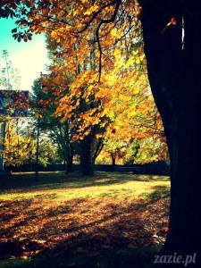 Jesienny Domek Małych Kasztanów