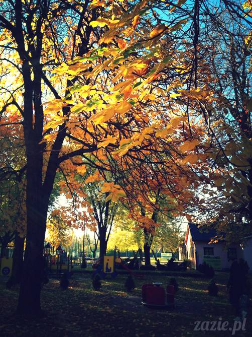 ogródek jordanowski na Starej Ochocie