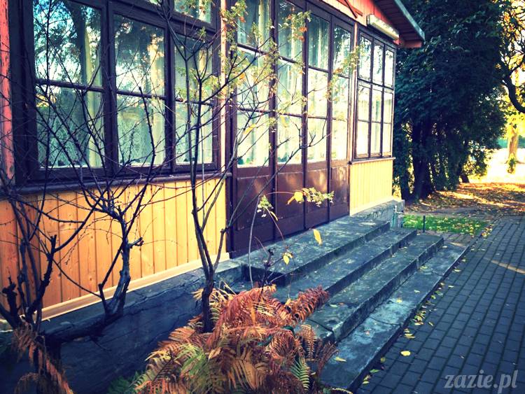 ogródek jordanowski na Starej Ochocie