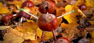 w pogoni za fazą REM. just give me sugar.