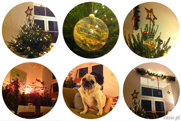 The Best of Pigwówka 2013/2014 na Starej Ochocie