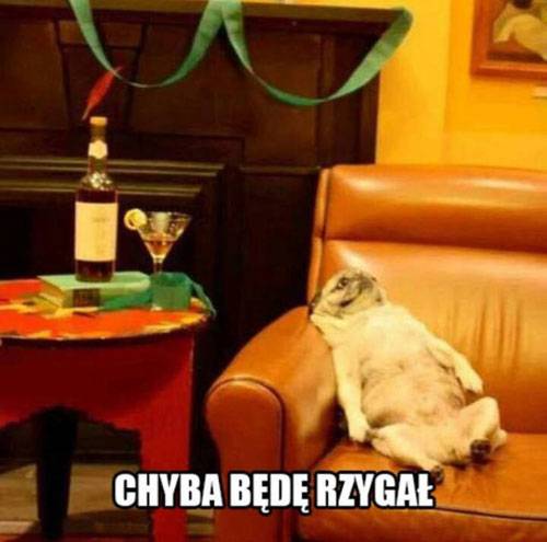 zazie_syd_xmass_2013_12