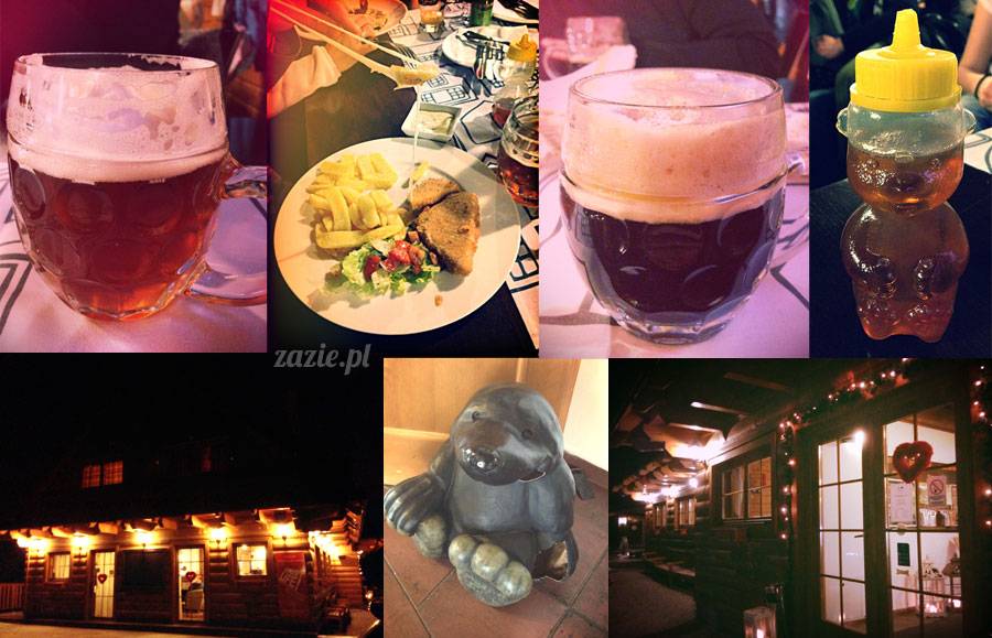 slovakia_terchova_drevnica_05