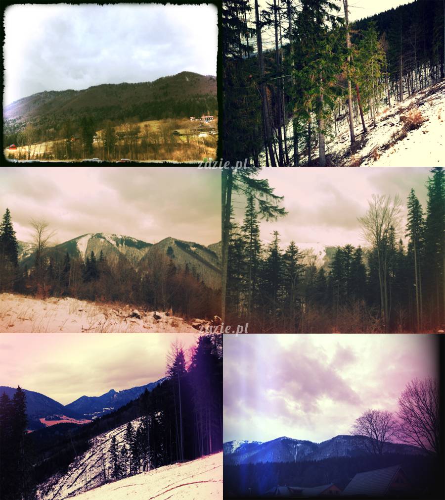 slovakia_terchova_drevnica_16