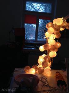 sputnikowy pracownik stycznia