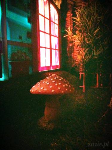 zazie_muchomor
