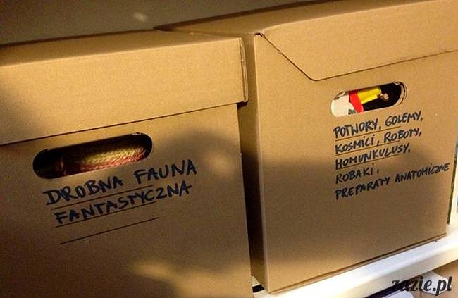 mozg_zombiaka_potwory_i_spolka