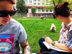 Sputnik ląduje na zielonej trawie