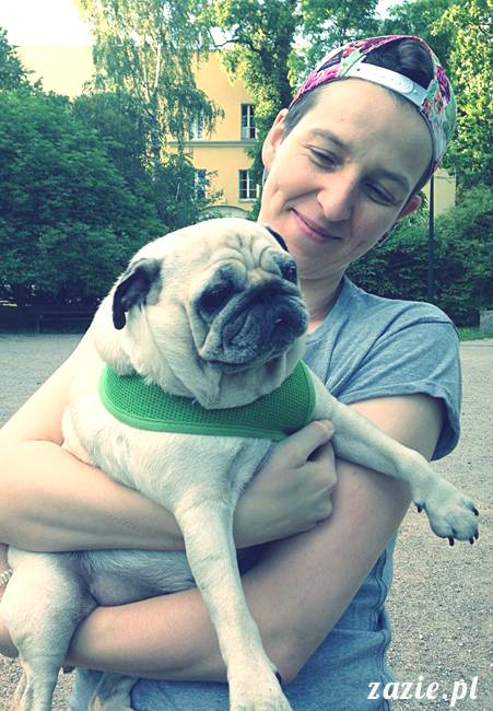 kumok_miszur_mopsy_mopsiki_mopsikowy_spacerek_ochota