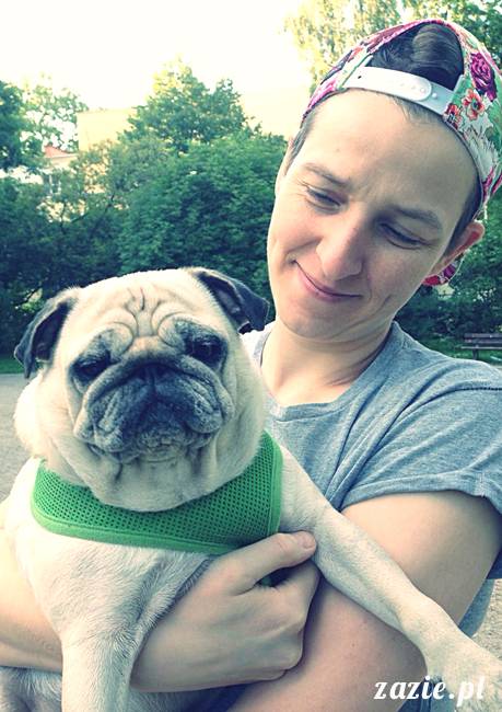 kumok_miszur_mopsy_mopsiki_mopsikowy_spacerek_ochota