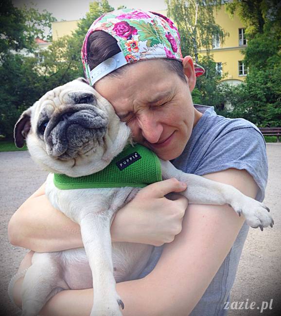 kumok_miszur_mopsy_mopsiki_mopsikowy_spacerek_ochota