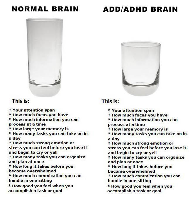 normaladhd