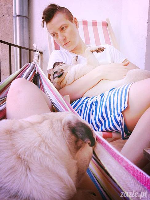 mopsik_mopsy_pug_pugs_kumok_miszur_zazie_