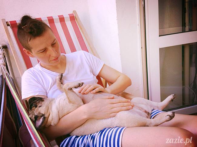 mopsik_mopsy_pug_pugs_kumok_miszur_zazie_