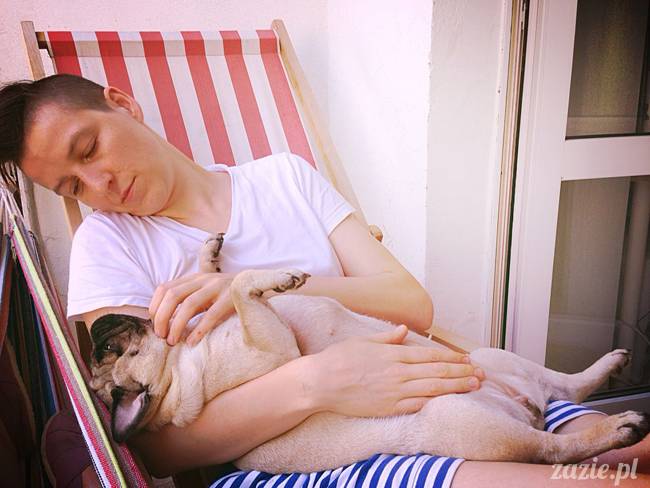 mopsik_mopsy_pug_pugs_kumok_miszur_zazie_