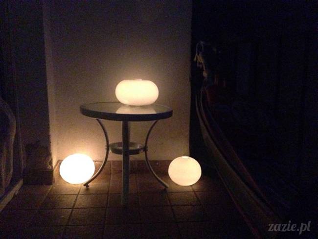 mopsik_mopsy_pug_pugs_kumok_miszur_zazie_