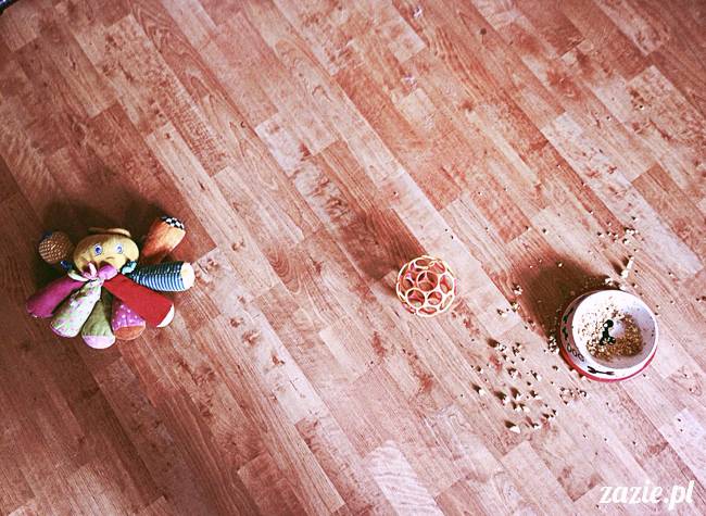 w czasie deszczu mopsiki mopsiczki się nudzą Kumok Miszur Zazie i Syd