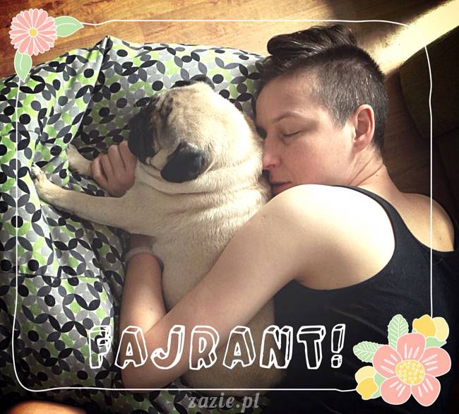 w czasie deszczu mopsiki mopsiczki się nudzą Kumok Miszur Zazie i Syd