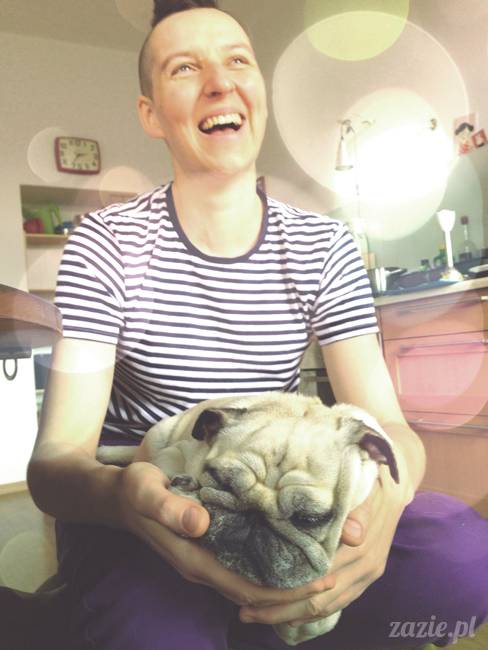 w czasie deszczu mopsiki mopsiczki się nudzą Kumok Miszur Zazie i Syd