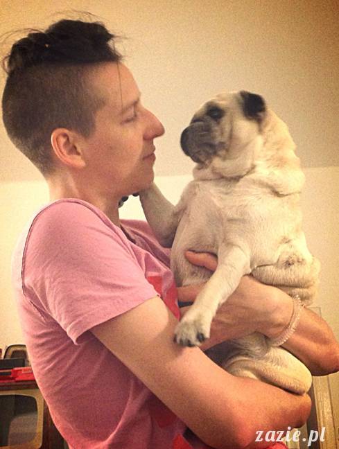 w czasie deszczu mopsiki mopsiczki się nudzą Kumok Miszur Zazie i Syd