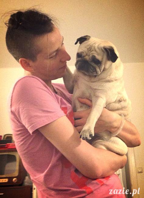 w czasie deszczu mopsiki mopsiczki się nudzą Kumok Miszur Zazie i Syd