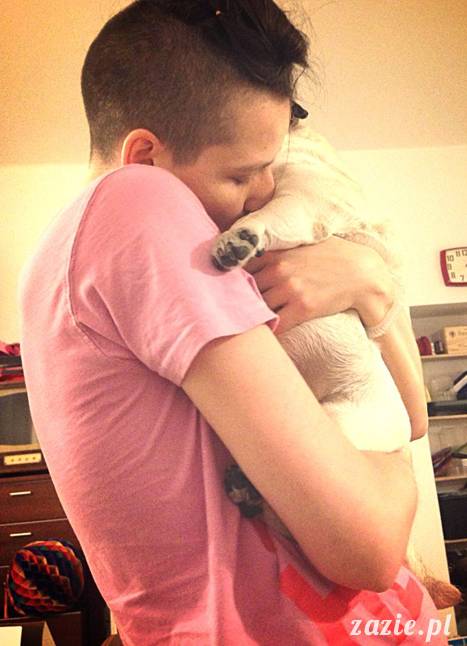 w czasie deszczu mopsiki mopsiczki się nudzą Kumok Miszur Zazie i Syd