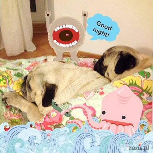 w czasie deszczu mopsiki mopsiczki się nudzą Kumok Miszur Zazie i Syd