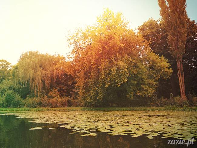 jeziorko kamionkowskie w parku skaryszewskim