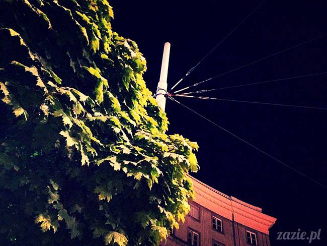 jeziorko kamionkowskie w parku skaryszewskim