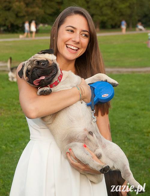 Warszawskie Mopsy, spotkania mopsiarzy, mopsiki na polach mokotowskich, spacer z mopsem