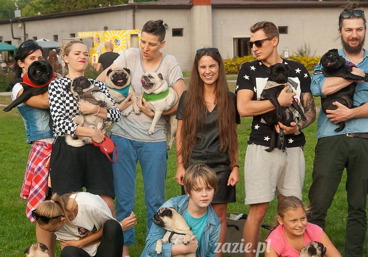 Warszawskie Mopsy, spotkania mopsiarzy, mopsiki na polach mokotowskich, spacer z mopsem