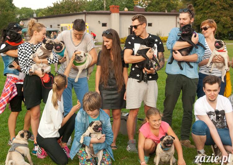 Warszawskie Mopsy, spotkania mopsiarzy, mopsiki na polach mokotowskich, spacer z mopsem