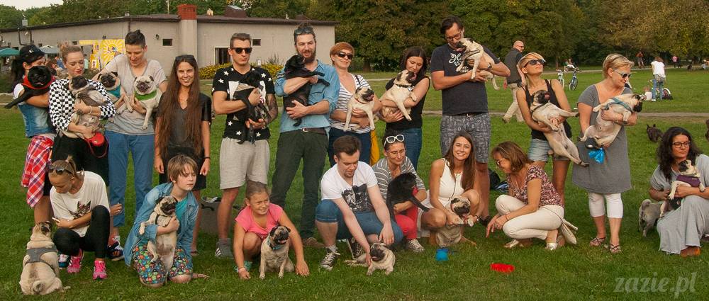 Warszawskie Mopsy, spotkania mopsiarzy, mopsiki na polach mokotowskich, spacer z mopsem