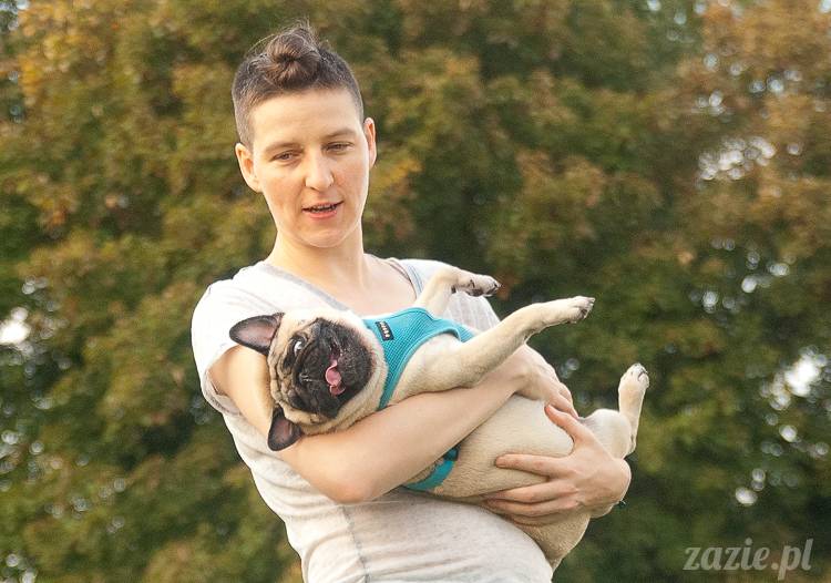 Warszawskie Mopsy, spotkania mopsiarzy, mopsiki na polach mokotowskich, spacer z mopsem