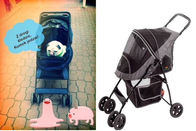 wozeczek_dla_psa