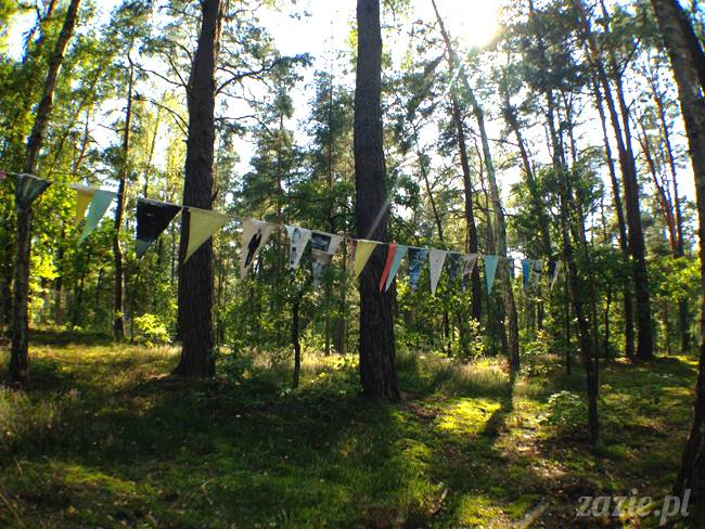 zaczarowany las mopsików mopsiki Zazie mopsy Kumok i Miszur