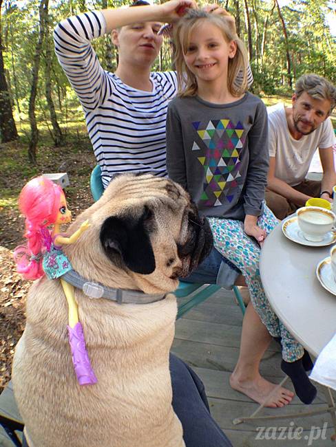 zaczarowany las mopsików mopsiki Zazie mopsy Kumok i Miszur