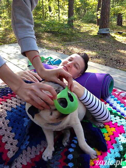 zaczarowany las mopsików mopsiki Zazie mopsy Kumok i Miszur