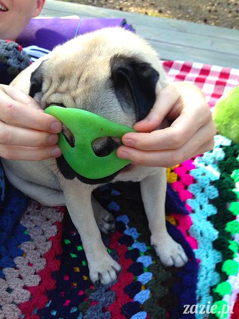 zaczarowany las mopsików mopsiki Zazie mopsy Kumok i Miszur