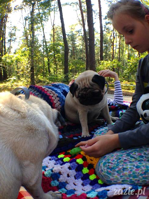 zaczarowany las mopsików mopsiki Zazie mopsy Kumok i Miszur