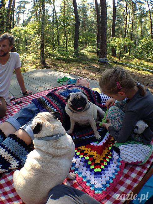 zaczarowany las mopsików mopsiki Zazie mopsy Kumok i Miszur