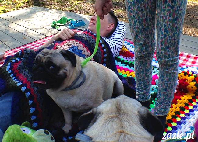 zaczarowany las mopsików mopsiki Zazie mopsy Kumok i Miszur