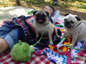 pchełki, karzełki, kurdupelki leśne i kosmiczna gluta