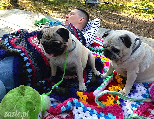 zaczarowany las mopsików mopsiki Zazie mopsy Kumok i Miszur