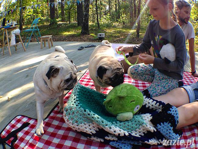 zaczarowany las mopsików mopsiki Zazie mopsy Kumok i Miszur