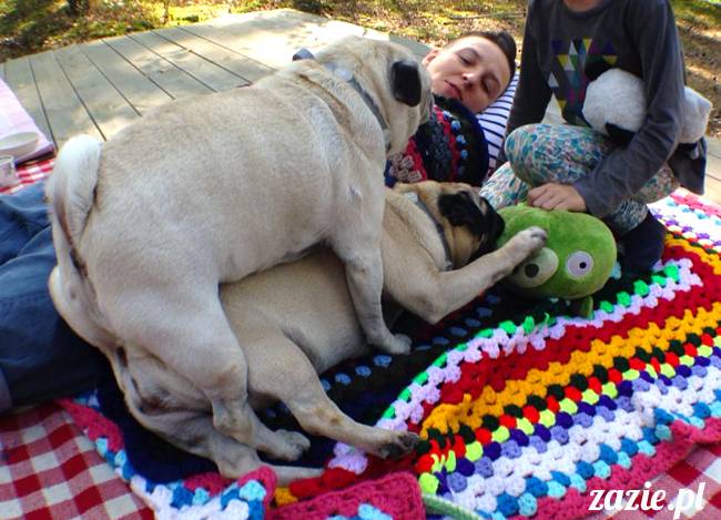 zaczarowany las mopsików mopsiki Zazie mopsy Kumok i Miszur