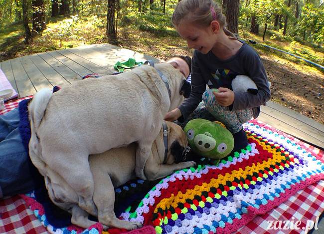 zaczarowany las mopsików mopsiki Zazie mopsy Kumok i Miszur