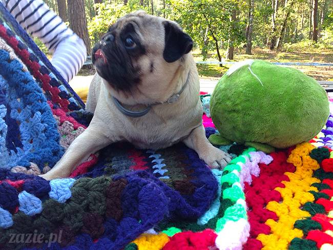 zaczarowany las mopsików mopsiki Zazie mopsy Kumok i Miszur