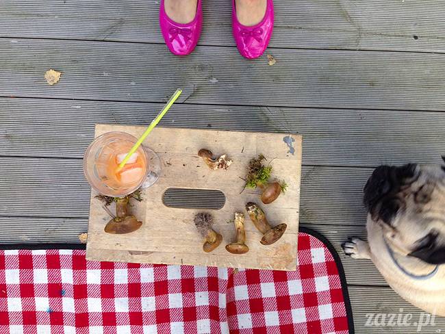 zaczarowany las mopsików mopsiki Zazie mopsy Kumok i Miszur